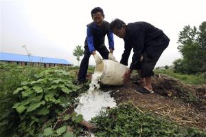 Dairy farmers pour fresh milk on the ground to destroy it on the outskirts of Liu'an, Anhui province