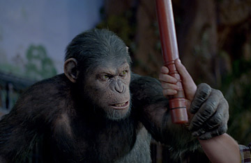 The Threat of Extinction Means That the Planet of the Apes Isn't