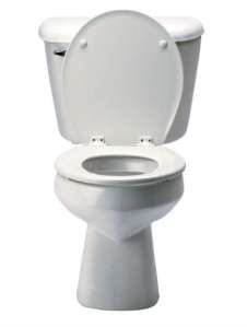 toilet
