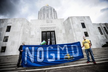 Protesters march and rally at the State Capitol in Oregon, against Monsanto and GMOs on Oct. 12, 2013.