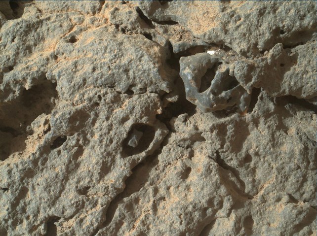 Curiosity was positioned about 4 inches (10 centimeters) from the surface of the "Point Lake" outcrop when it took this image of a portion of the outcrop's steep face, on June 13, 2013.