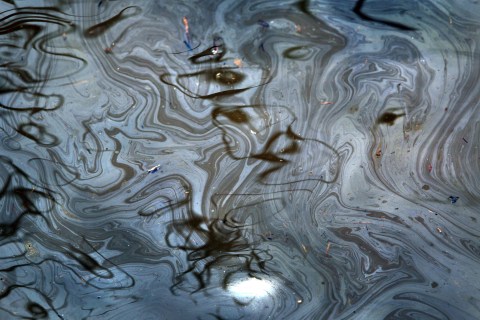 A sheen of oil floats in a marsh on April 19, 2011 at Middle Ground in southern Louisiana.