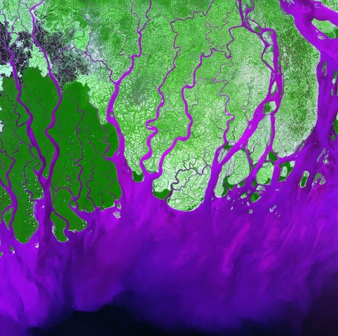 Ganges River Delta