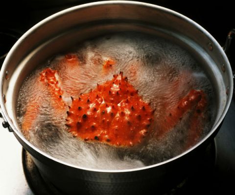 Crabs And Other Crustaceans Can Feel Pain Study Suggests Time Com