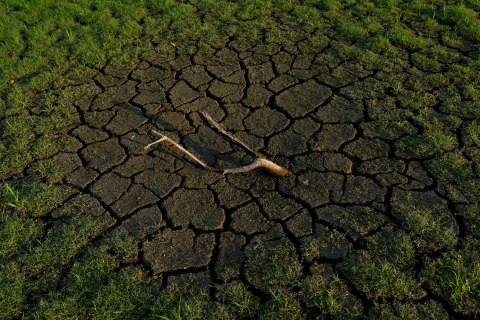 image: A dead branch sits in the cracked earth near the Morse Reservoir, north of Indianapolis, July 22, 2012.