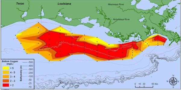 Dead Zone in Gulf of Mexico Comes In Smaller Than Predicted | TIME.com