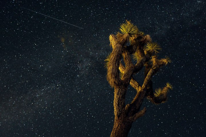 The Perseid meteor shower over the Mojave Desert in Landers, Calif., on Aug. 12, 2013.