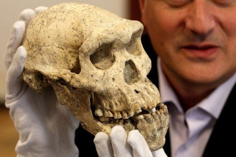 Pre-human skull in Georgia