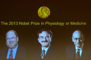 A screen displays photos of James E Rothman from the US, Randy W Schekman from the US and Thomas C Suedhof from Germany, all joined winners of the Medicine Nobel Prize, at a press conference to announce the laureates the 2013 Nobel Prize in Physiology or Medicine on Oct. 7, 2013 in Stockholm.