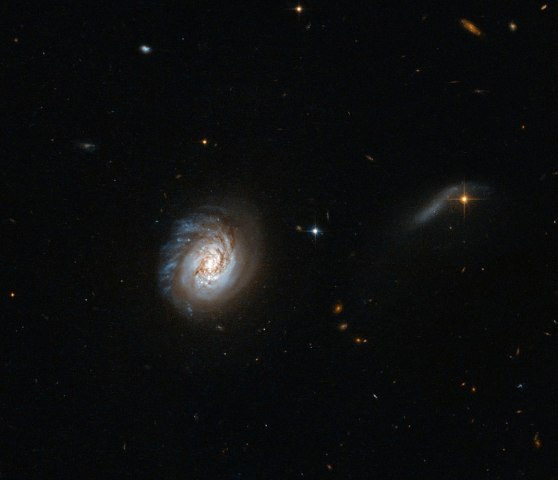 A Hubble Space Telescope image of a galaxy known as MCG-03-04-014, released on Feb. 25, 2014.